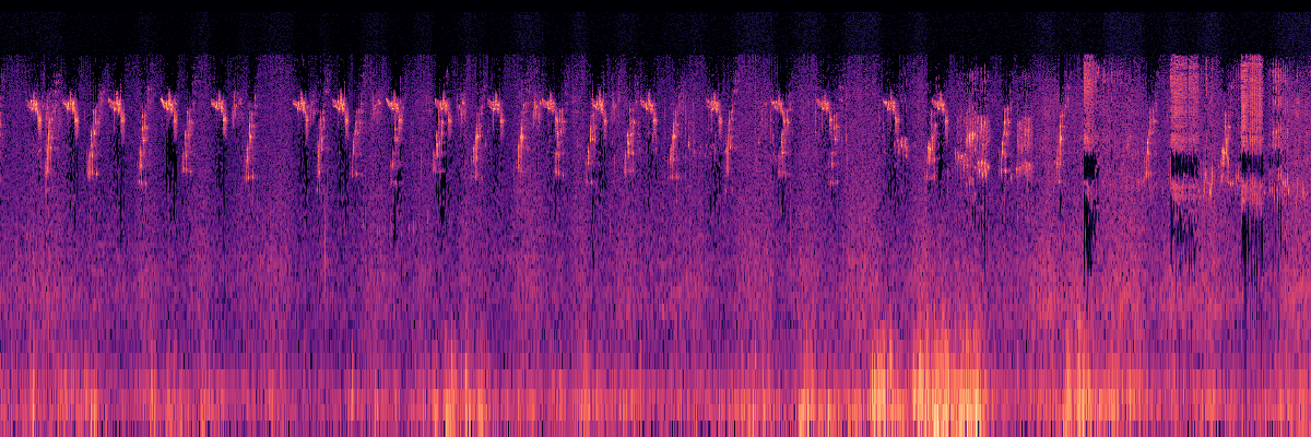 Spectrogram: White-Crowned Sparrow, Swainson's Thrush, and Red Squirrel Chorus
